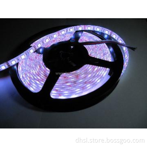 24V 120pcs smd3528 led strip light led per meter -3